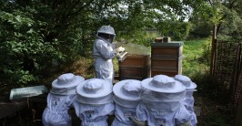 Imker zeigt Kindern m Bauerngarten Bienenstöcke, alle tragen Schutzkleidung.