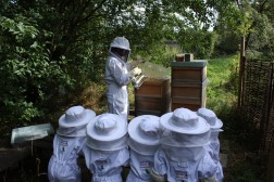Imker zeigt Kindern einen Bienenstock, alle tragen Schutzkleidung.