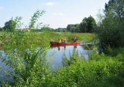 Drei Personen paddeln in einem Kanu die Niers entlang.